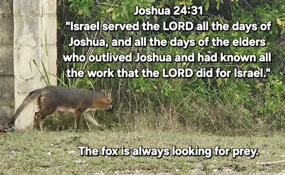 James Hunt (@jameshunt4karis) on Twitter photo 