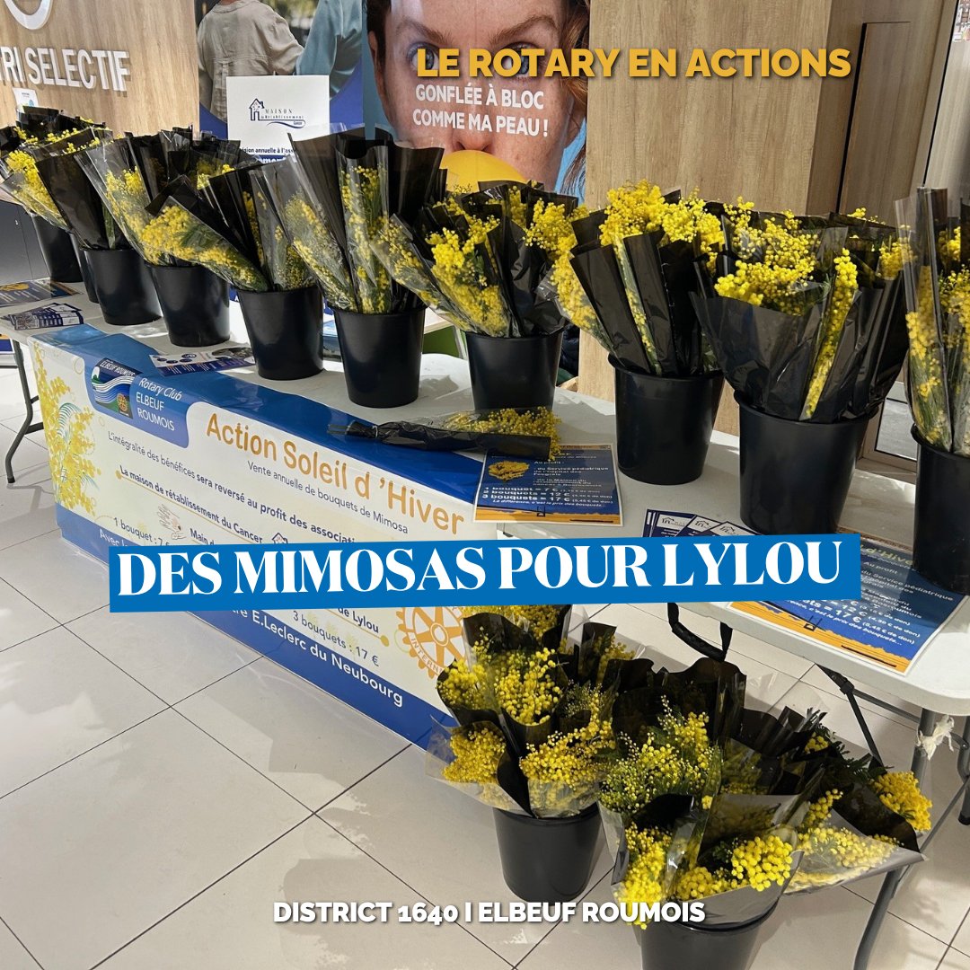 rotarymagfr's tweet image. 𝐀 𝐍𝐞𝐮𝐛𝐨𝐮𝐫𝐠 𝐞𝐭 𝐚 𝐁𝐨𝐮𝐫𝐠-𝐀𝐜𝐡𝐚𝐫𝐝,1100 bouquets de mimosas vendus pour soutenir Lylou, une enfant lourdement handicapée.

Une mobilisation locale au service d’un quotidien plus facile.

D’autres actions rotarymag.org/2-le-rotary-en…

#Rotary #Solidarité #ActionLocale