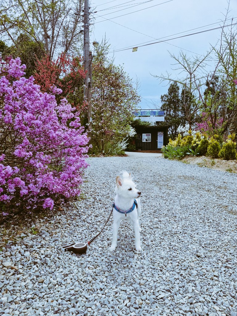ehdghkdml's tweet photo. 윈터는 여행중... https://t.co/v2tjXs1fZX