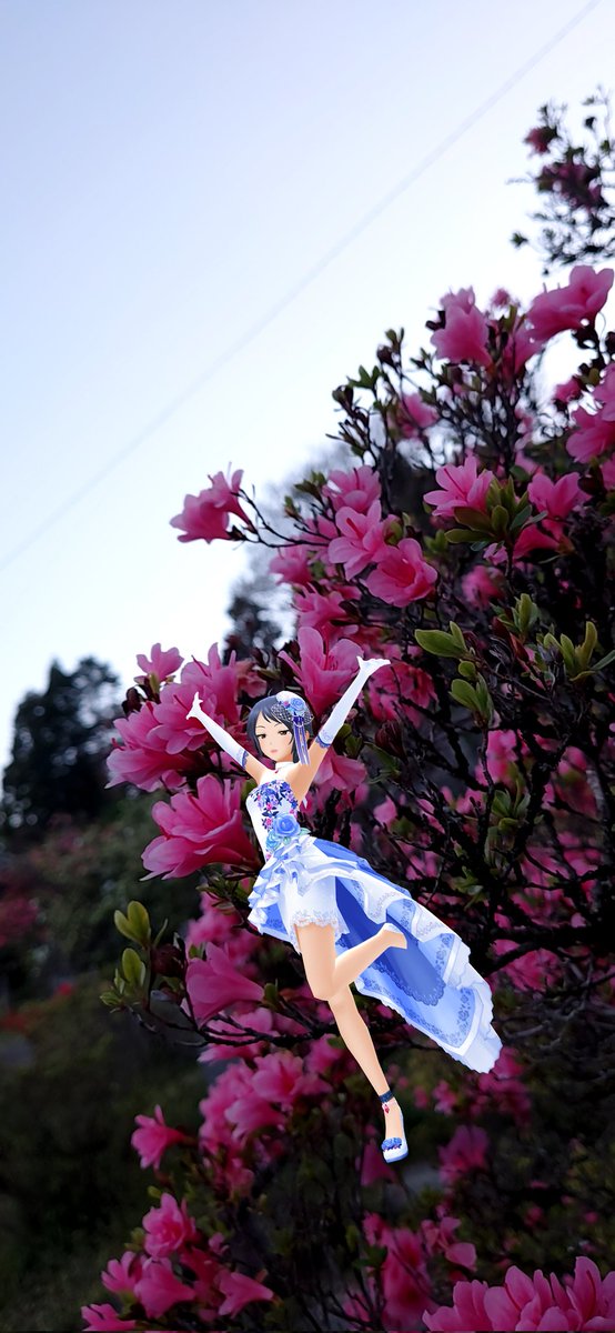 ひむち_DX🍎/きむち大福🦋 tweet media