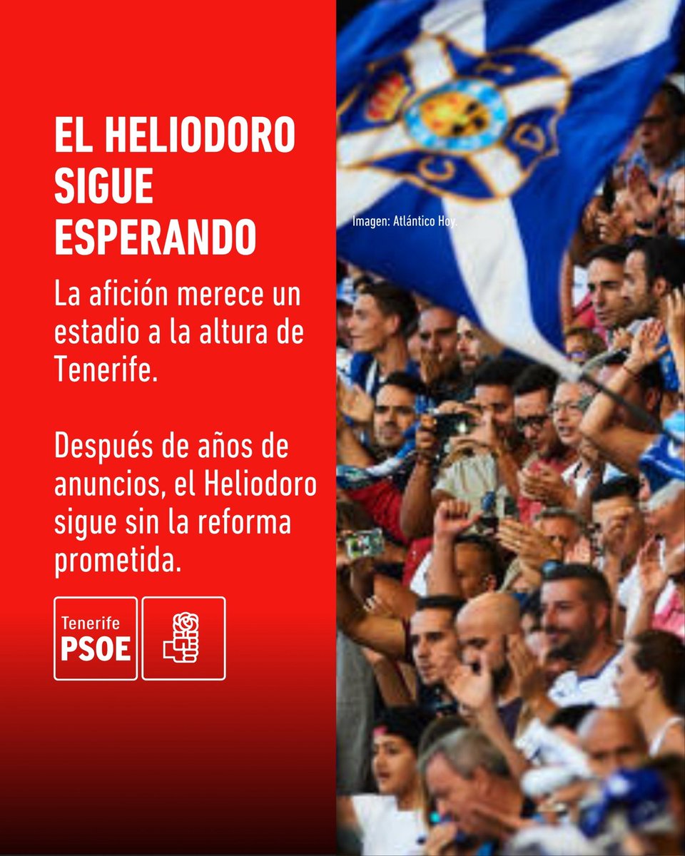 PSOE Tenerife tweet media