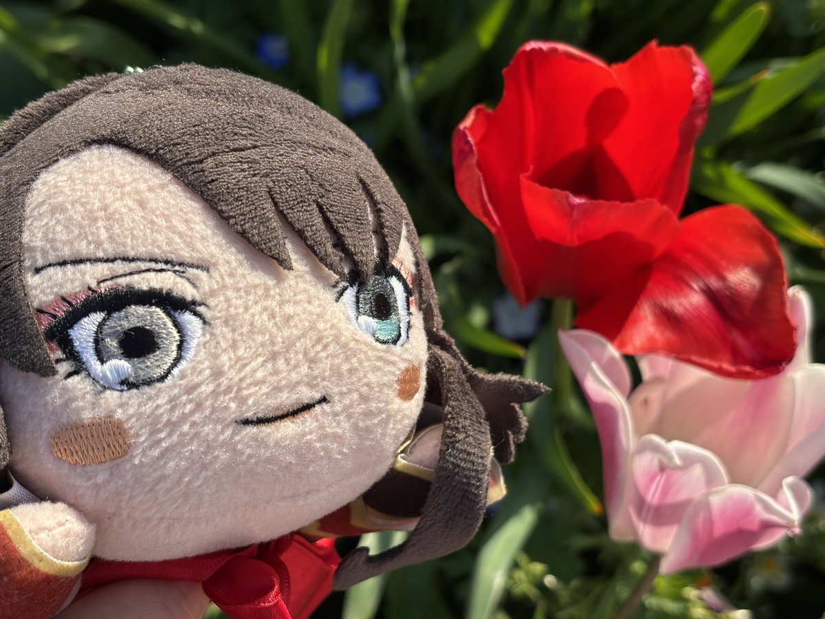 🌸