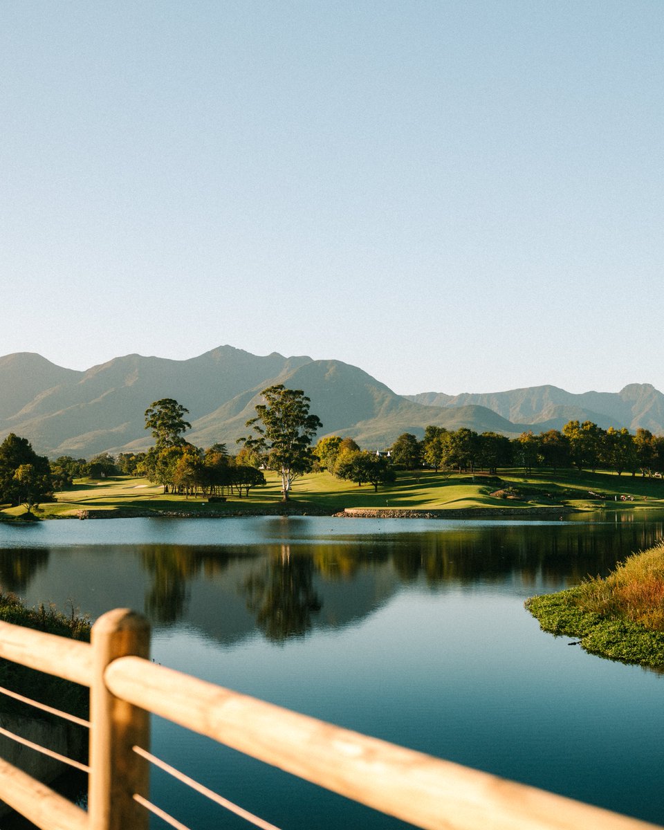 Fancourt tweet media