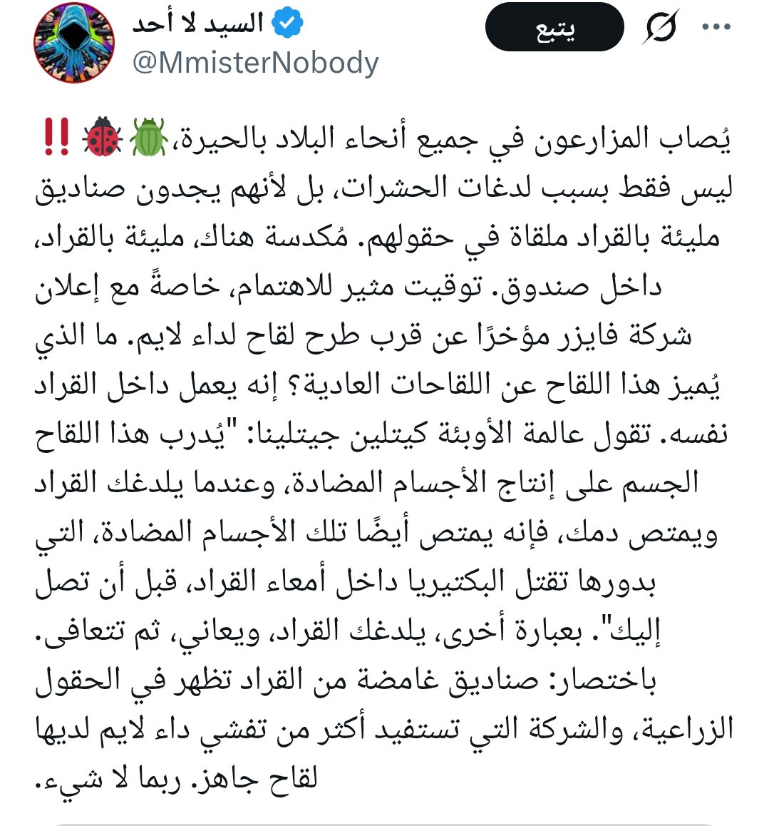 Alyaa Gad علياء جاد tweet media