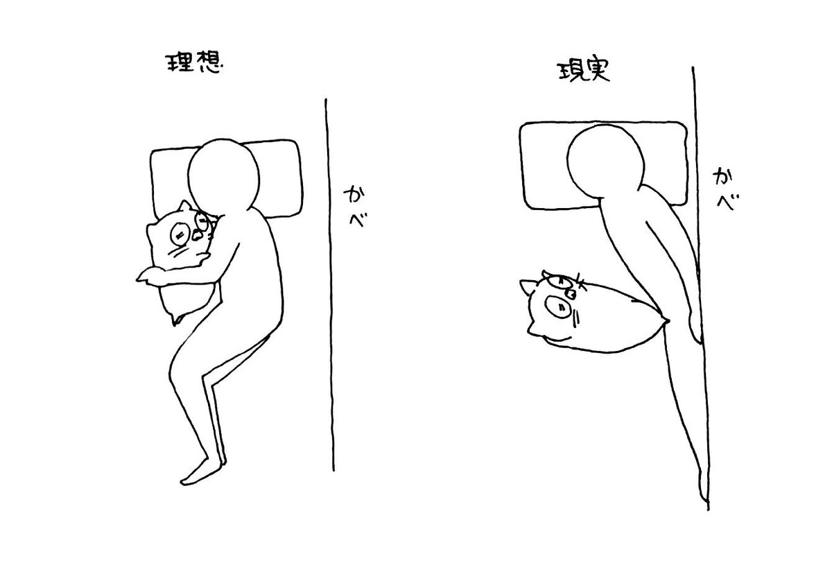 うさぎのみみちゃん😇デザフェス両日西1階B-10 tweet media