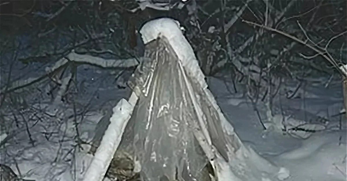 Джойстик tweet media