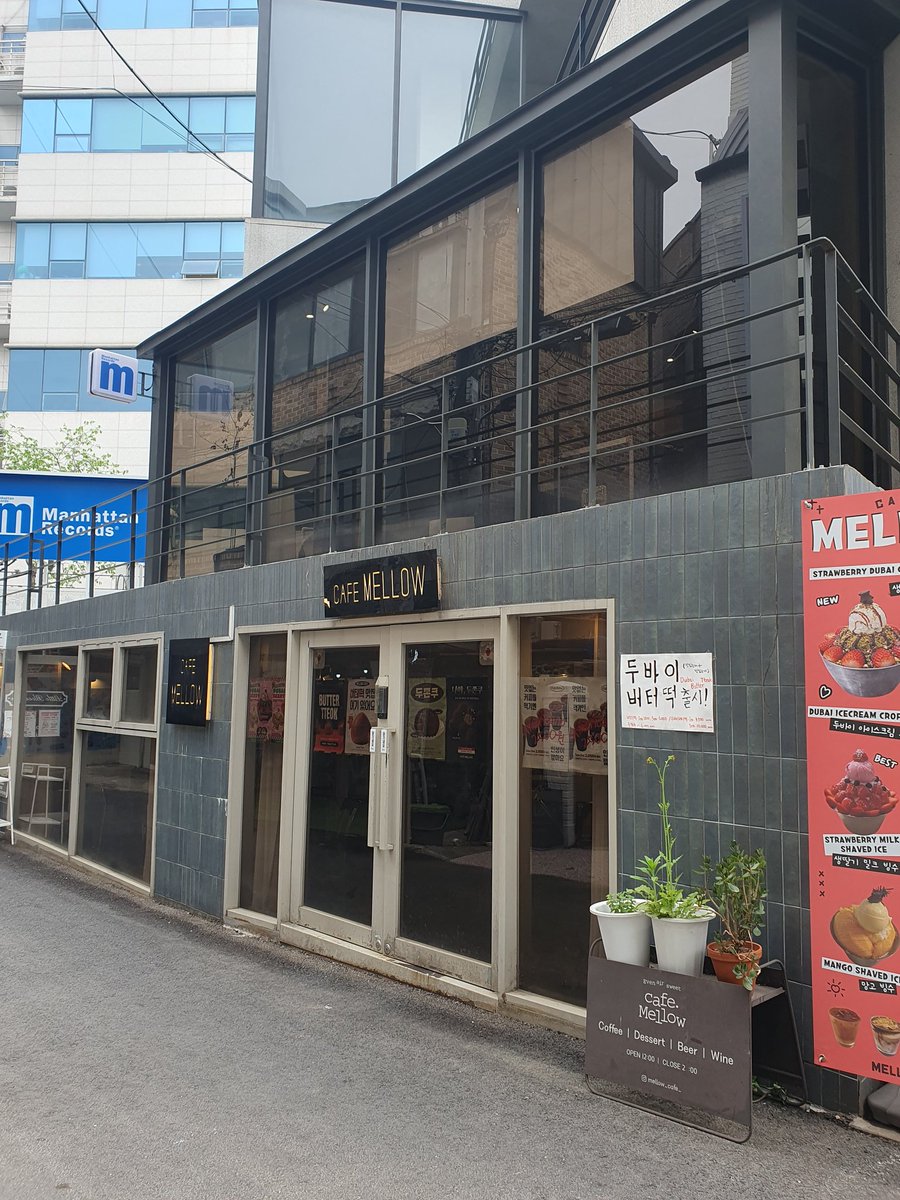 체리안 tweet media