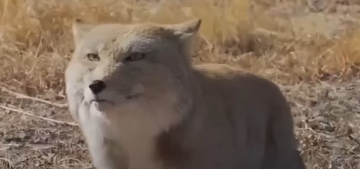 박문대 tweet media