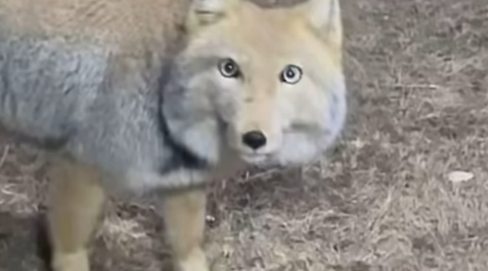 박문대 tweet media