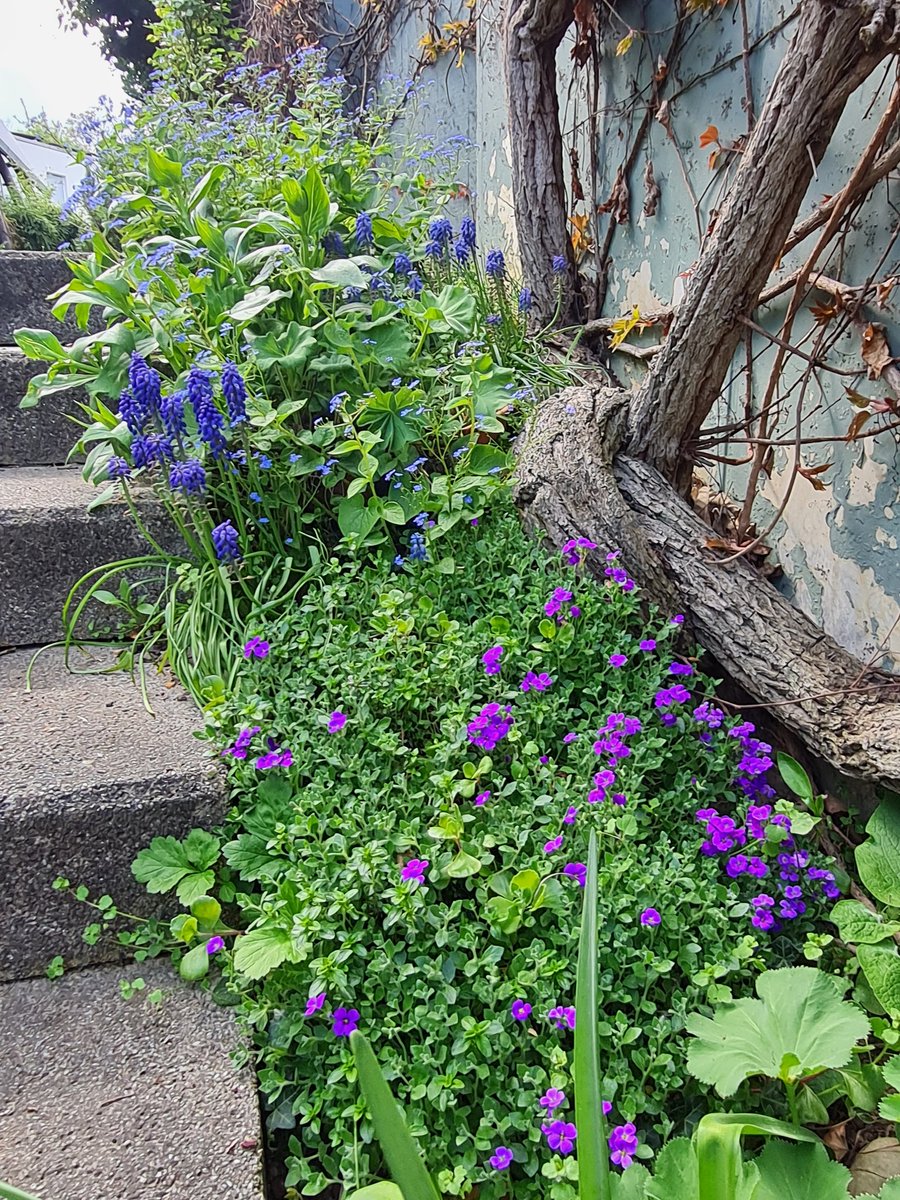 🌸 Birgit tweet media