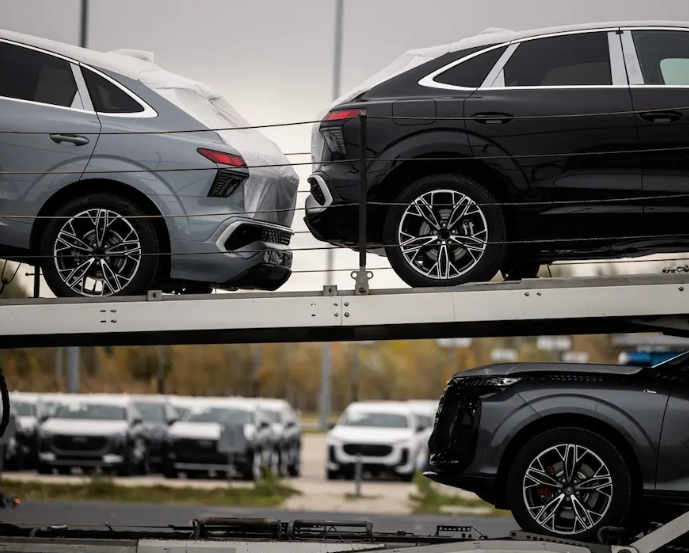 Metakognita tweet media