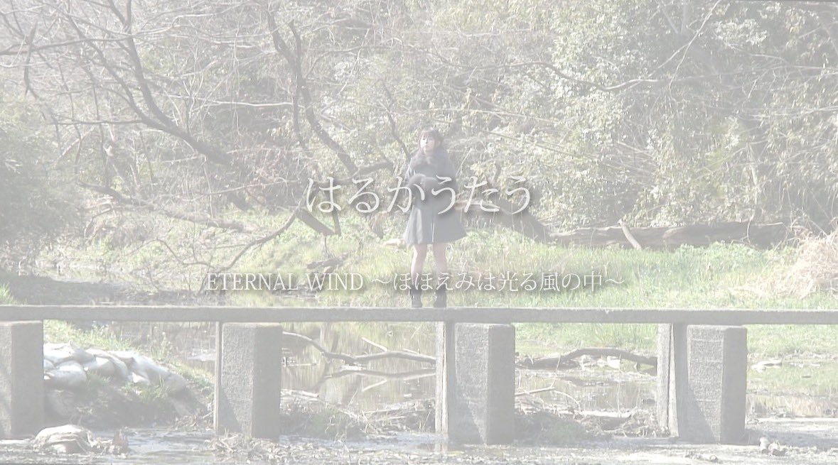 咲良春花 tweet media