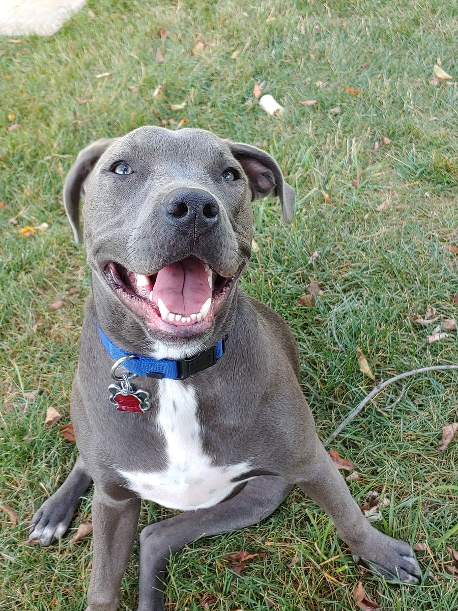 ❦𝔄𝔣𝔱𝔢𝔯𝔄𝔫𝔫𝔄𝔲𝔱𝔬𝔭𝔰𝔜❦ tweet media