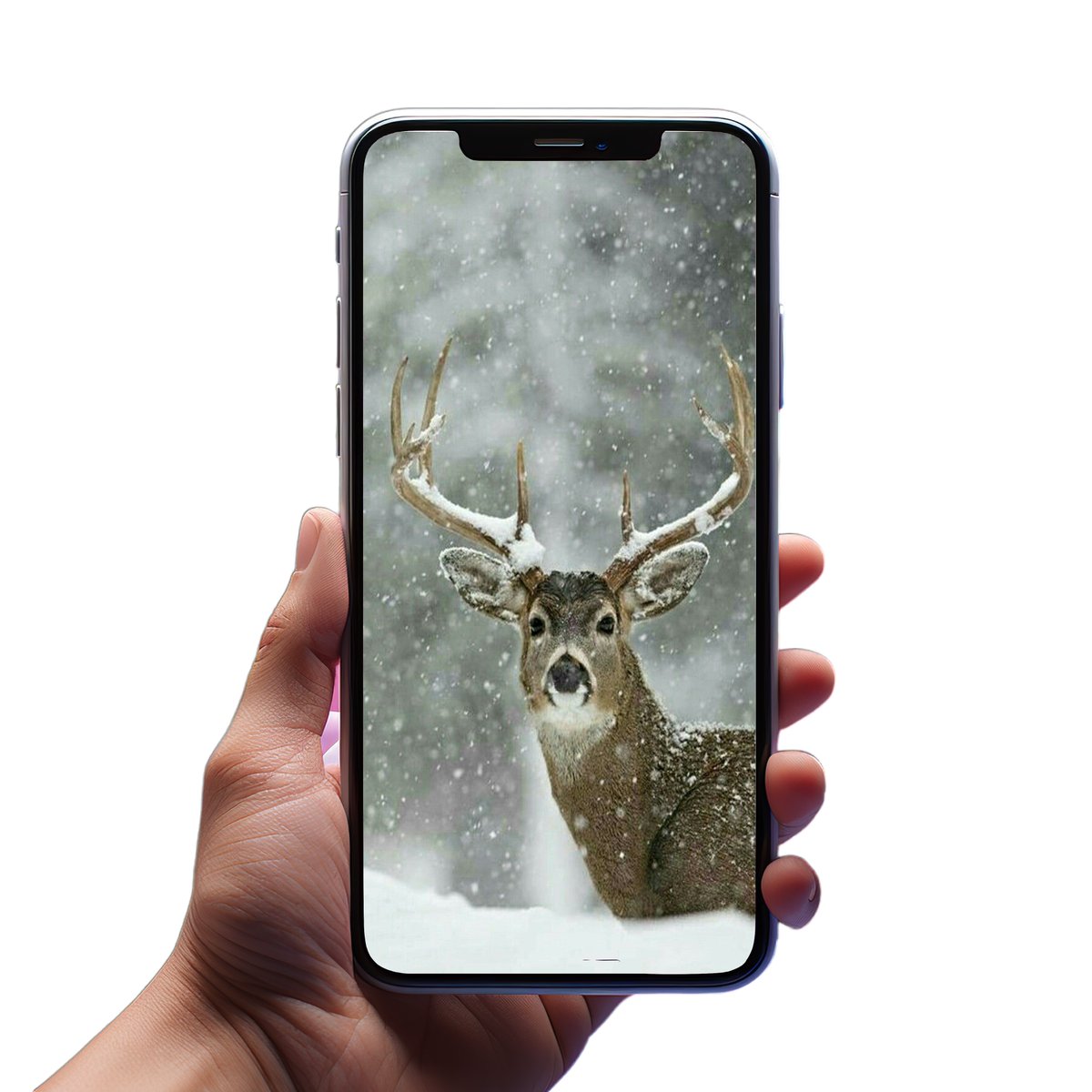 EminemShadyLtd's tweet image. Winter wonderland.

#WinterWallpaper #Wallpaper #FreeWallpaper