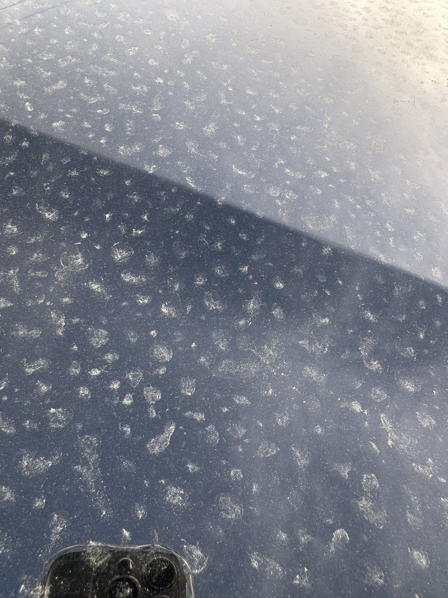 さや🍏ゼンジン4/19 tweet media