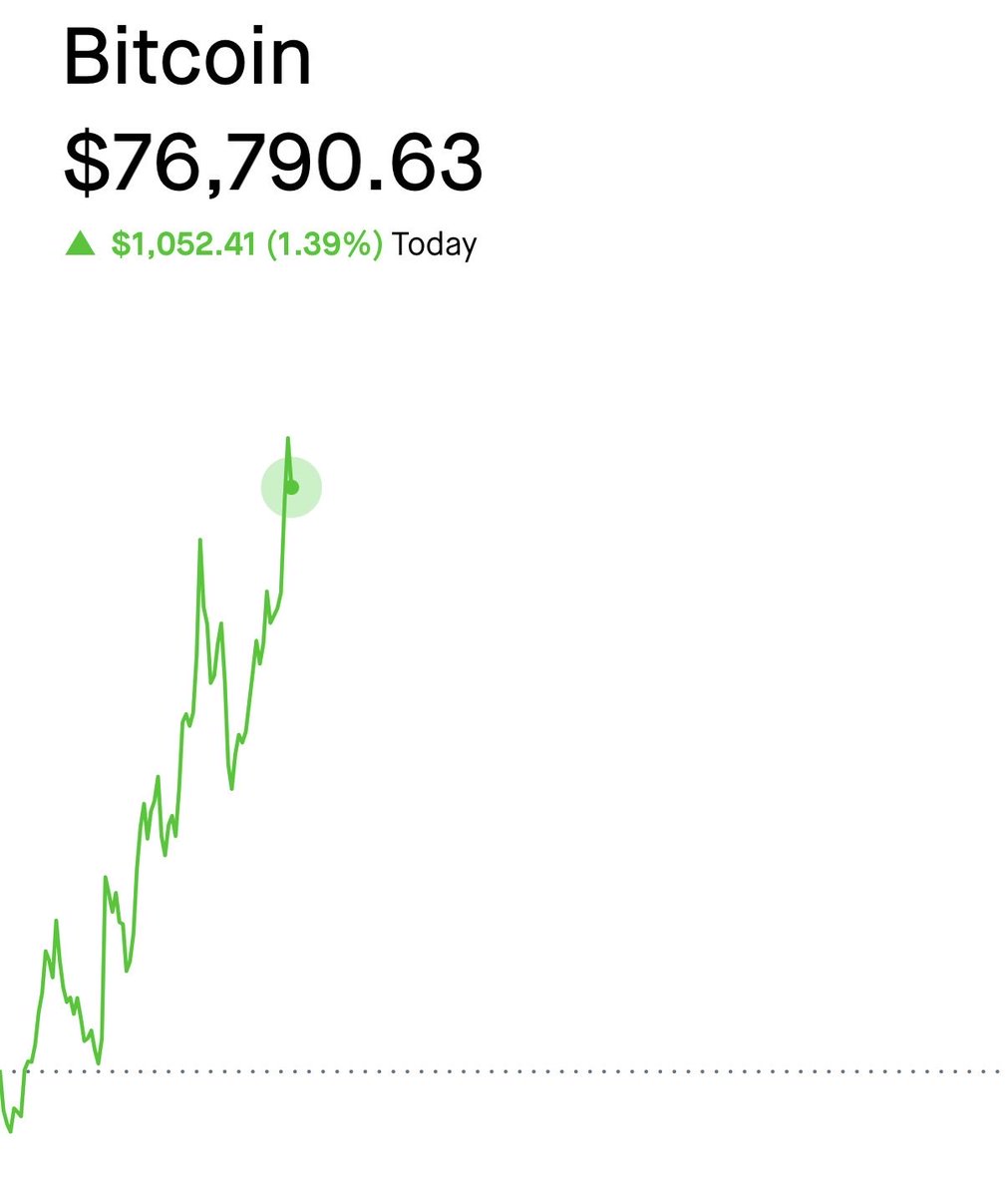The ₿itcoin Therapist tweet media