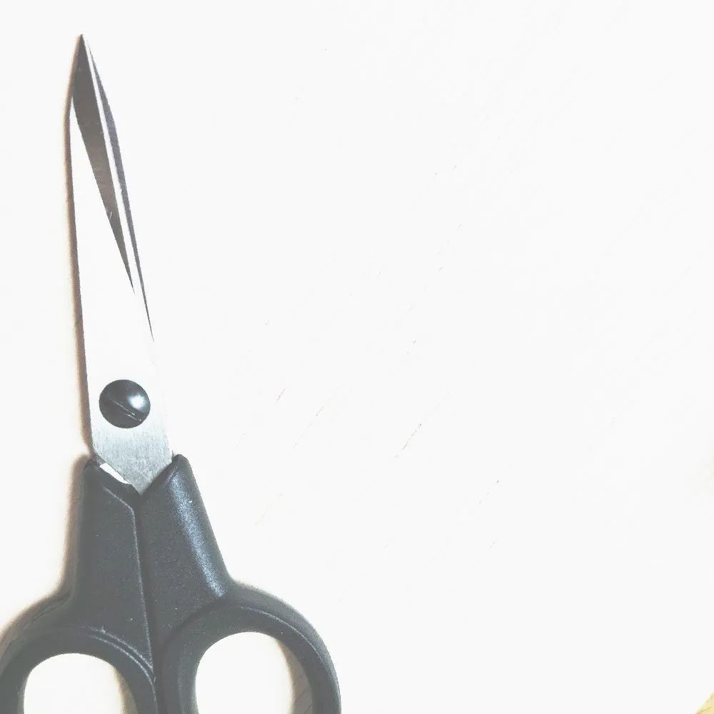 naihonya's tweet image. ✂ ┄ ┄ ┄ ┄切り取り線 ┄ ┄ ┄ ┄ 

【ない本や】
minne.com/@flat-minne

#ない本や #手製本 #bookbinding