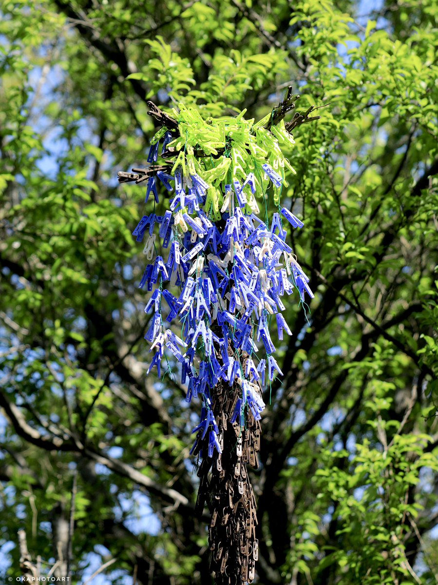 幹までこだわって作った藤の花です