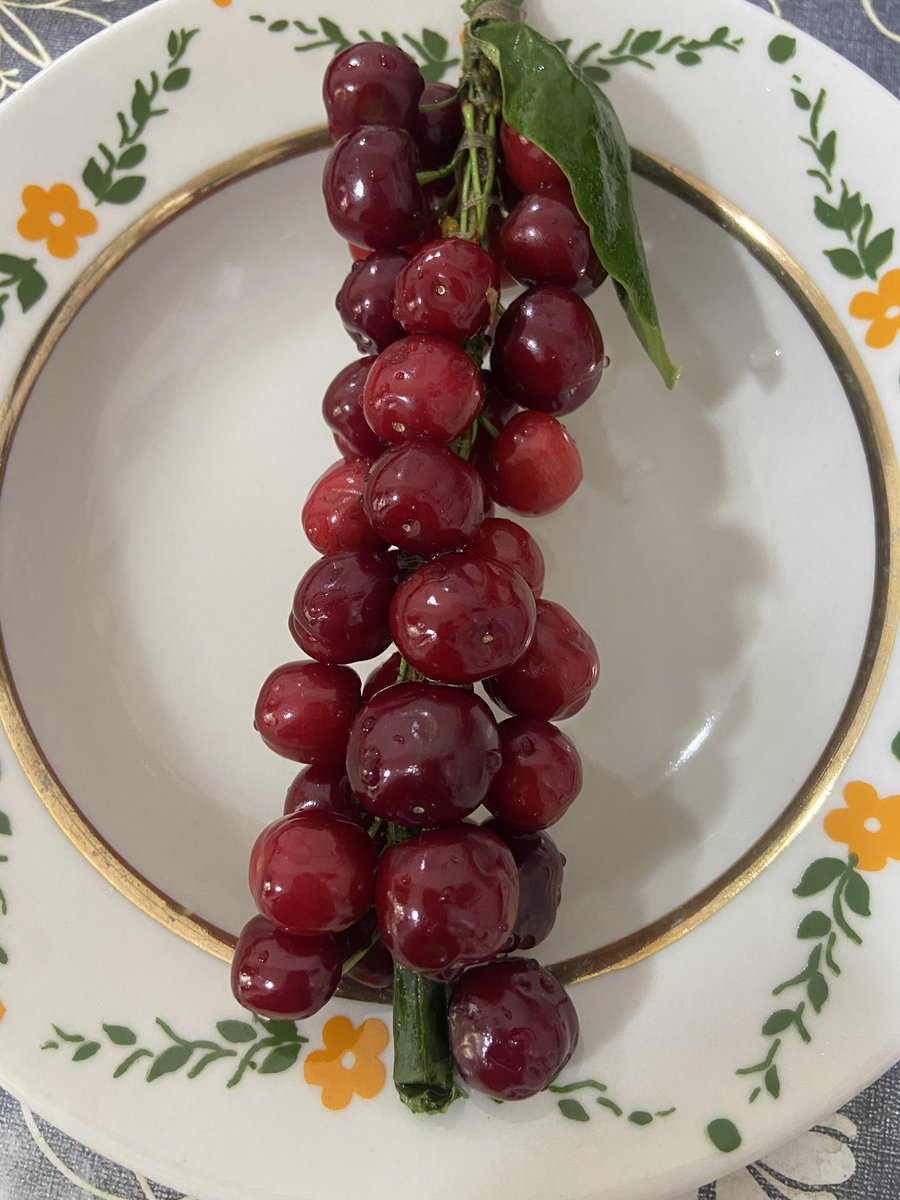 駒﨑万集 mashu komazaki tweet media