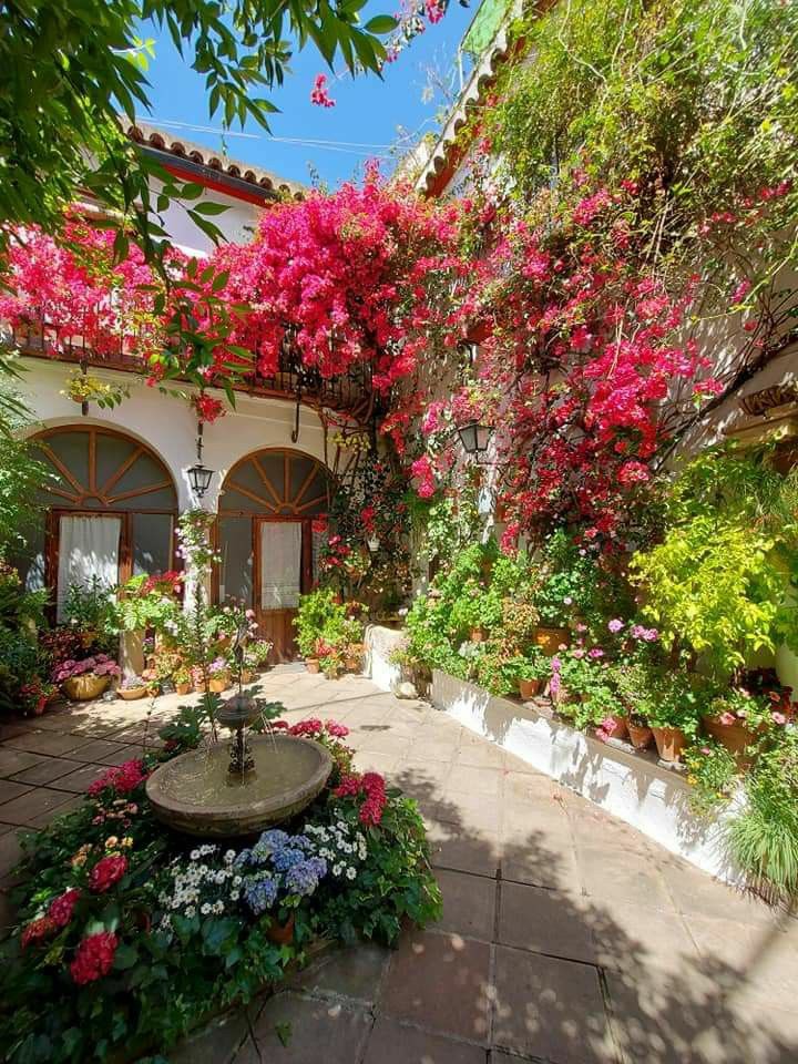 طــالــوم الــذهبــي tweet media