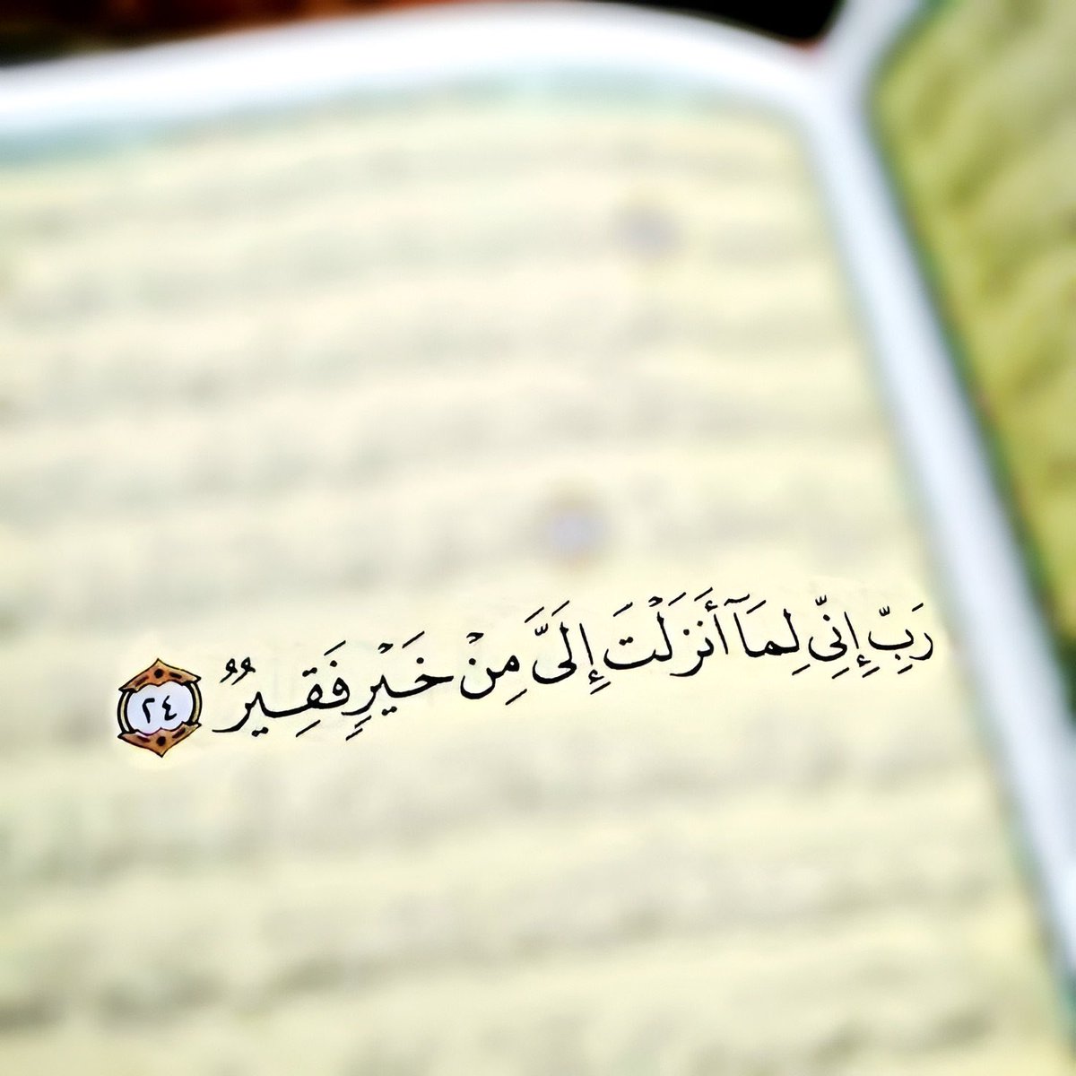 دعاء tweet media
