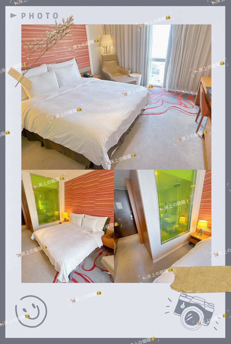 🐈床上の貓貓👑 tweet media