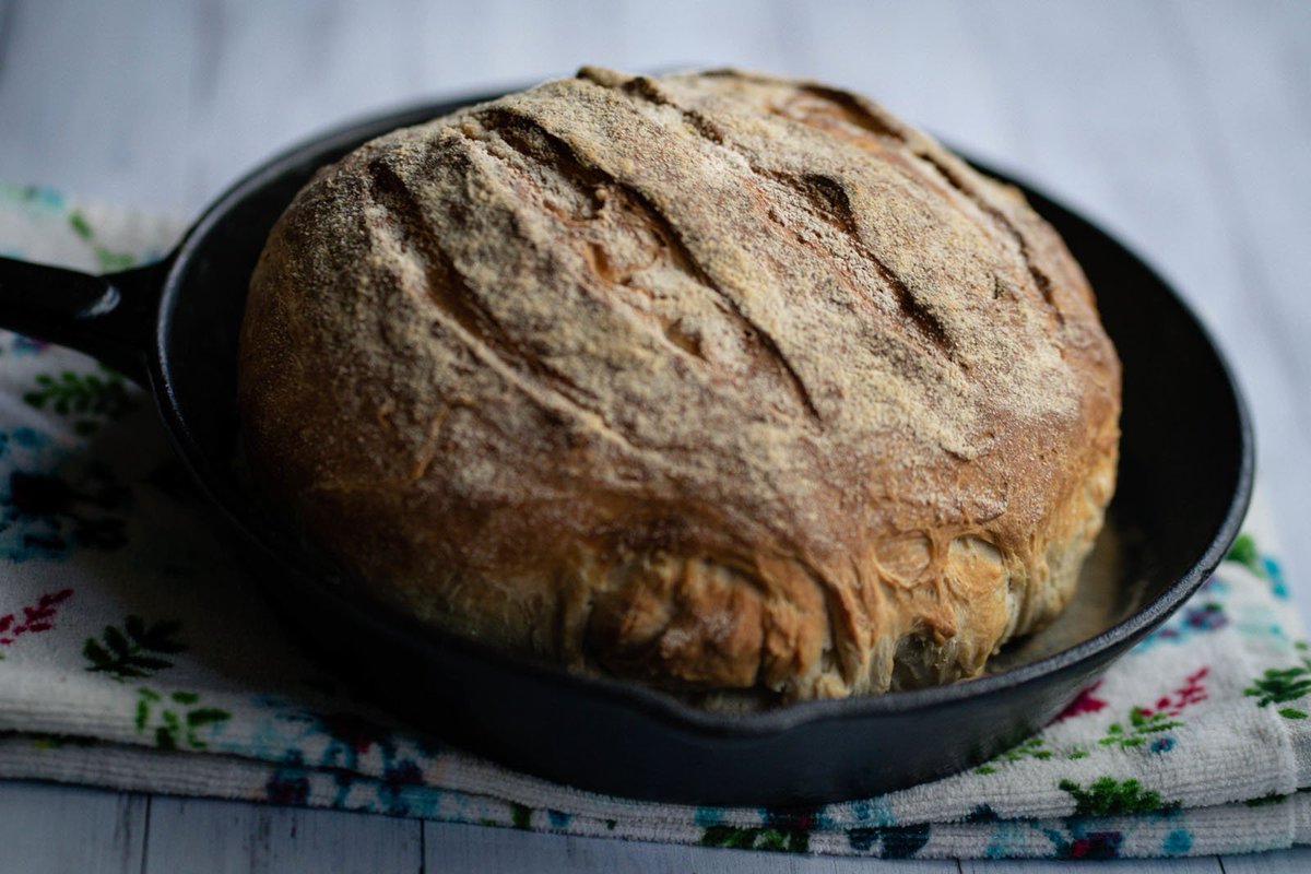 Vatanabeus tweet media