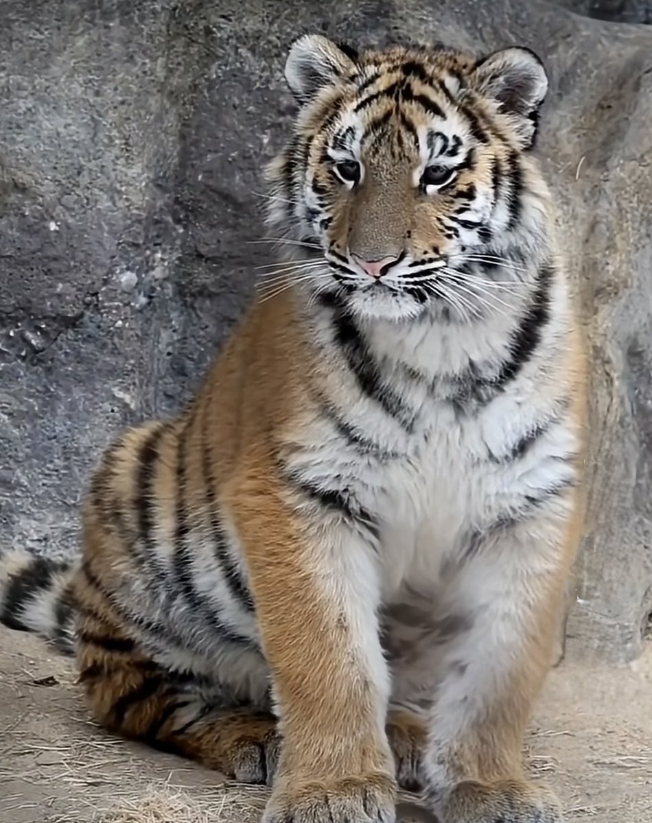 도롱이🌱 tweet media