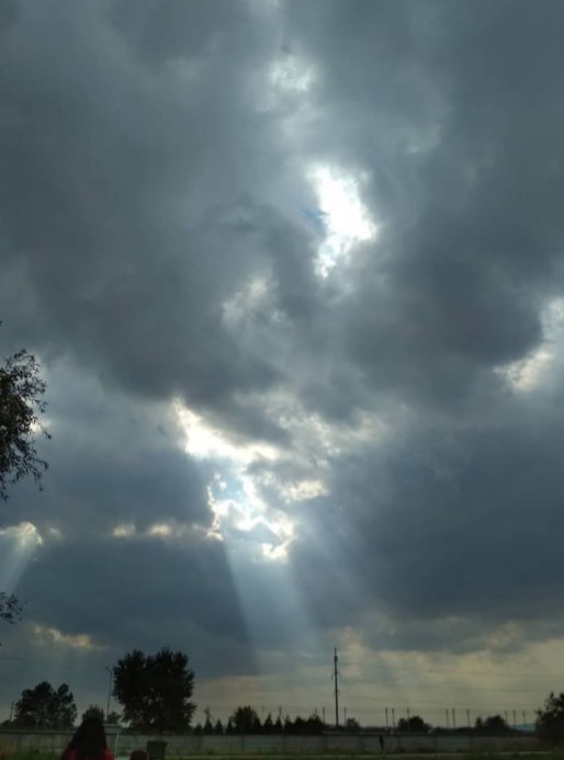AnnaZолотое☀️руно́ tweet media