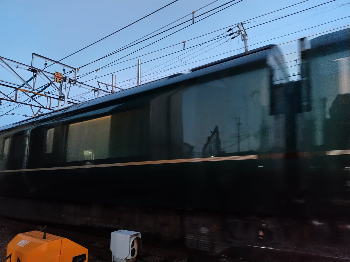 メグラー(巡回鳥) tweet media