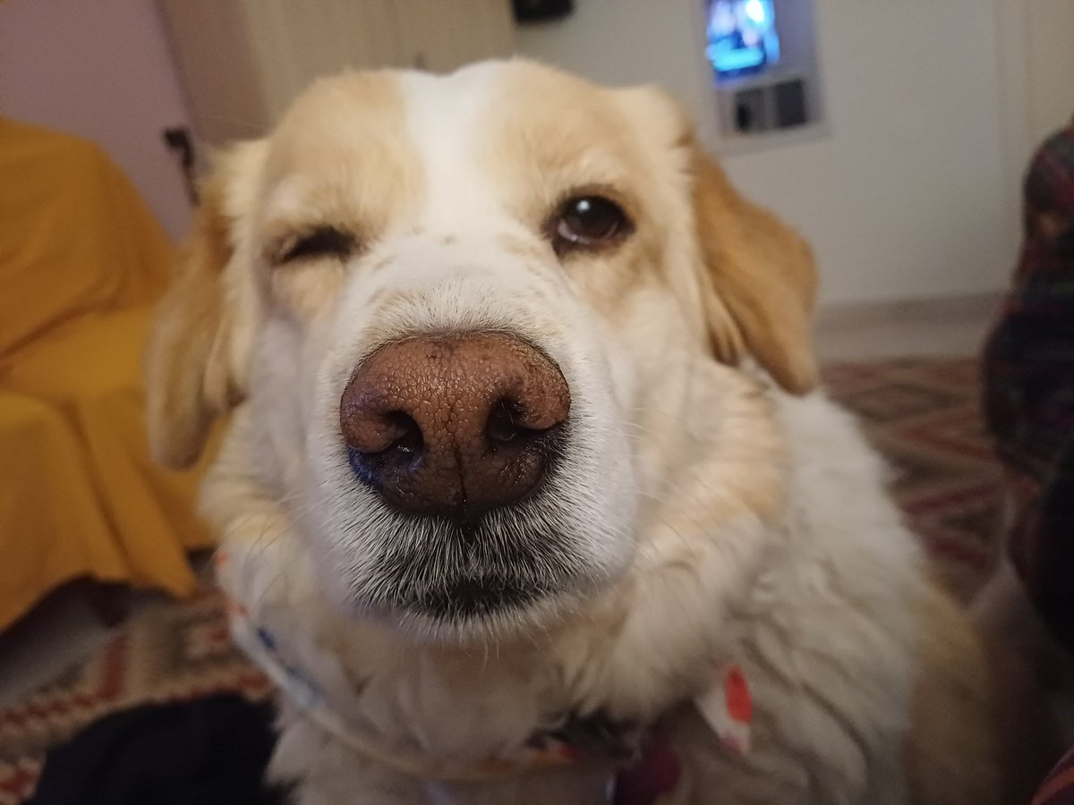 Το 8χρονο δεν εκανε την αντιγραφη γιατι "βιωνει τον πρωτο του χωρισμο".