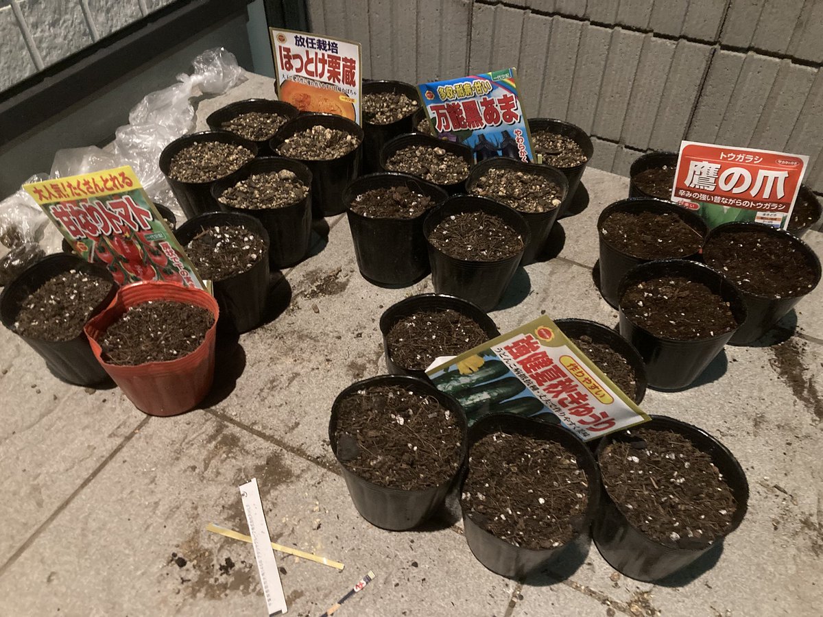 hinomoto701's tweet image. Warmth from the earth
soon the sprouts will start to rise
waiting for their day

地熱上がり
そろそろ芽吹く
日を待ってる

#field #seeds #hinomoto701 #畑 #種 #ヒノモト