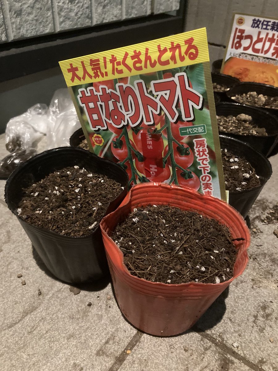 hinomoto701's tweet image. Warmth from the earth
soon the sprouts will start to rise
waiting for their day

地熱上がり
そろそろ芽吹く
日を待ってる

#field #seeds #hinomoto701 #畑 #種 #ヒノモト