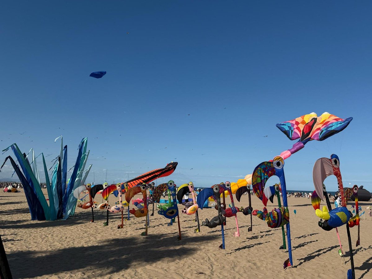 AjuntamentVLC's tweet photo. 🆕 Ja tenim la nova data del Festival de Milotxes !! 🪁 Diumenge 3 de maig a la platja del #Cabanyal 🏖️

▶️ Torna, en la seua 25a edició, amb catxerulos gegants, colors ballant al compàs del vent amb milotxes de tot tipus: multicomponents, estàtiques, acrobàtiques, gegants i 3D.

⏰ De 10 a 20 hores

➕ℹ️ https://t.co/KAvDhc776o

T'esperem! 🙌
