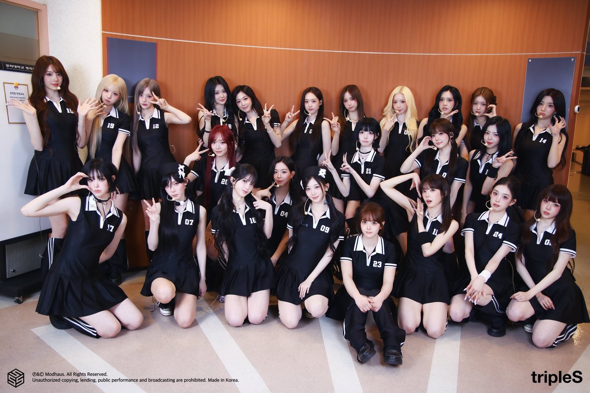 설린 모음집📁 tweet media