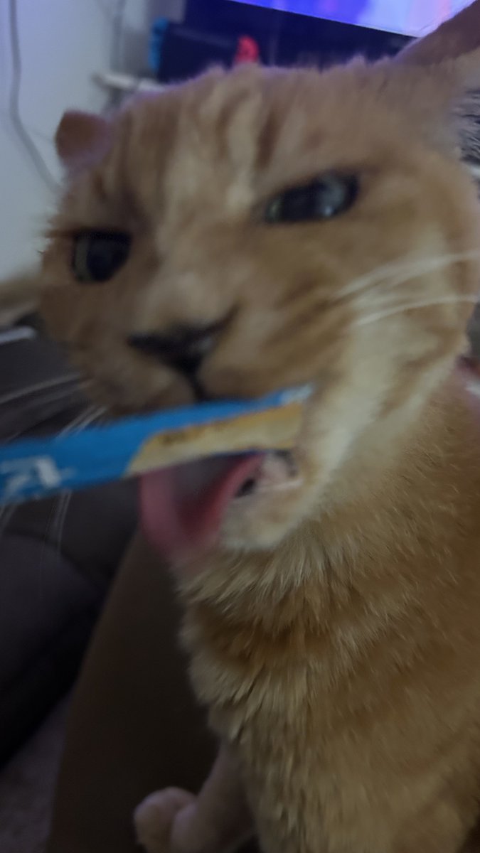 はると tweet media