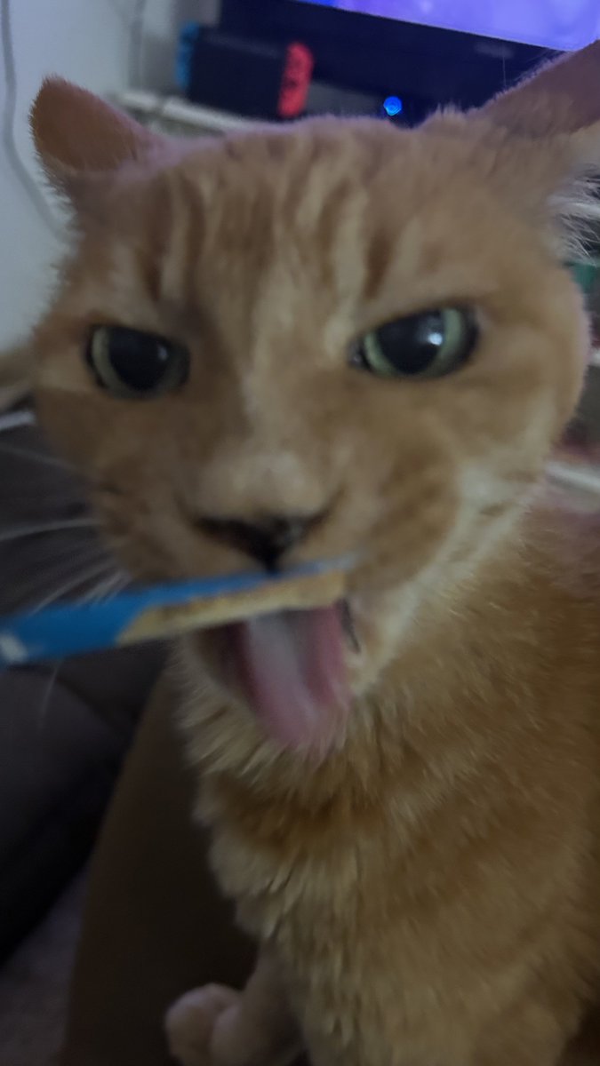 はると tweet media