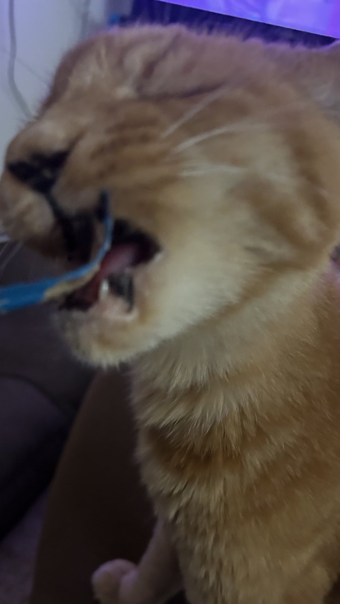 はると tweet media