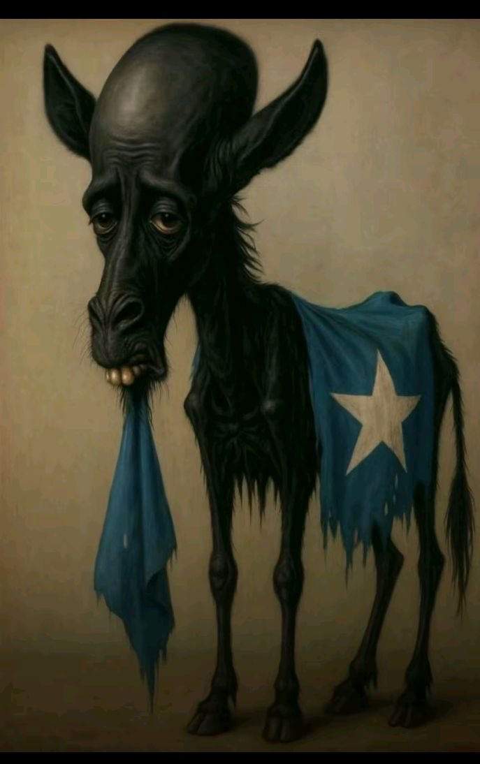 Muna Haji tweet media