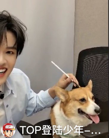 보보🧡장지
