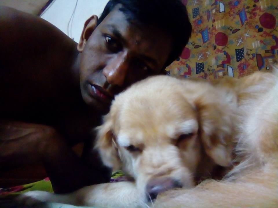 Sensei Kraken Zero tweet media