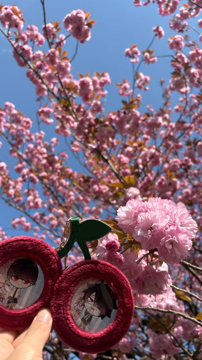 ありす🥑原稿戦士 tweet media