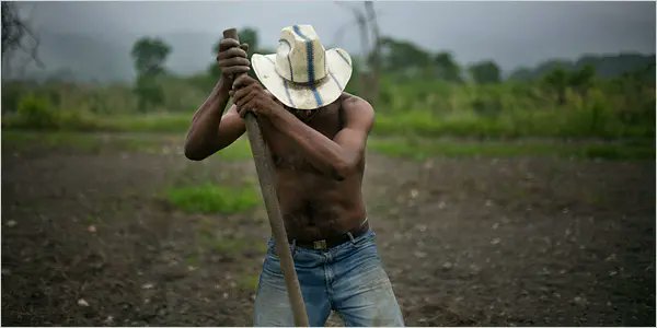 MiMapaDeGuyana's tweet photo. 🇻🇪 De ministro de Defensa… a Agricultura 🌱Padrino pasó de mandar tropas a sembrar yuca. Sin escándalo. Sin ruido. Pero clarito.Ahora entra un jefe de inteligencia 👀 Menos guerra… más jugadas en silencio. Así funciona el poder hoy: no te enfrentan… te bajan de nivel. Y mientras tanto: El Esequibo es de Guyana 🇬🇾#VenezolanoConConciencia #HablandoClaro #ElEssequiboEsDeGuyana #MiMapa #esequibo #esequibodevenezuela #esequibodeguyana #venezuela #guyana #fanb
@AntroCanal @yvangil @dhernandezlarez @EsequiboOficial @unidadvenezuela @PrensaFANB @GnbGaranteDePaz @PresidencialVen @MariaCorinaYA @ReunificaORG