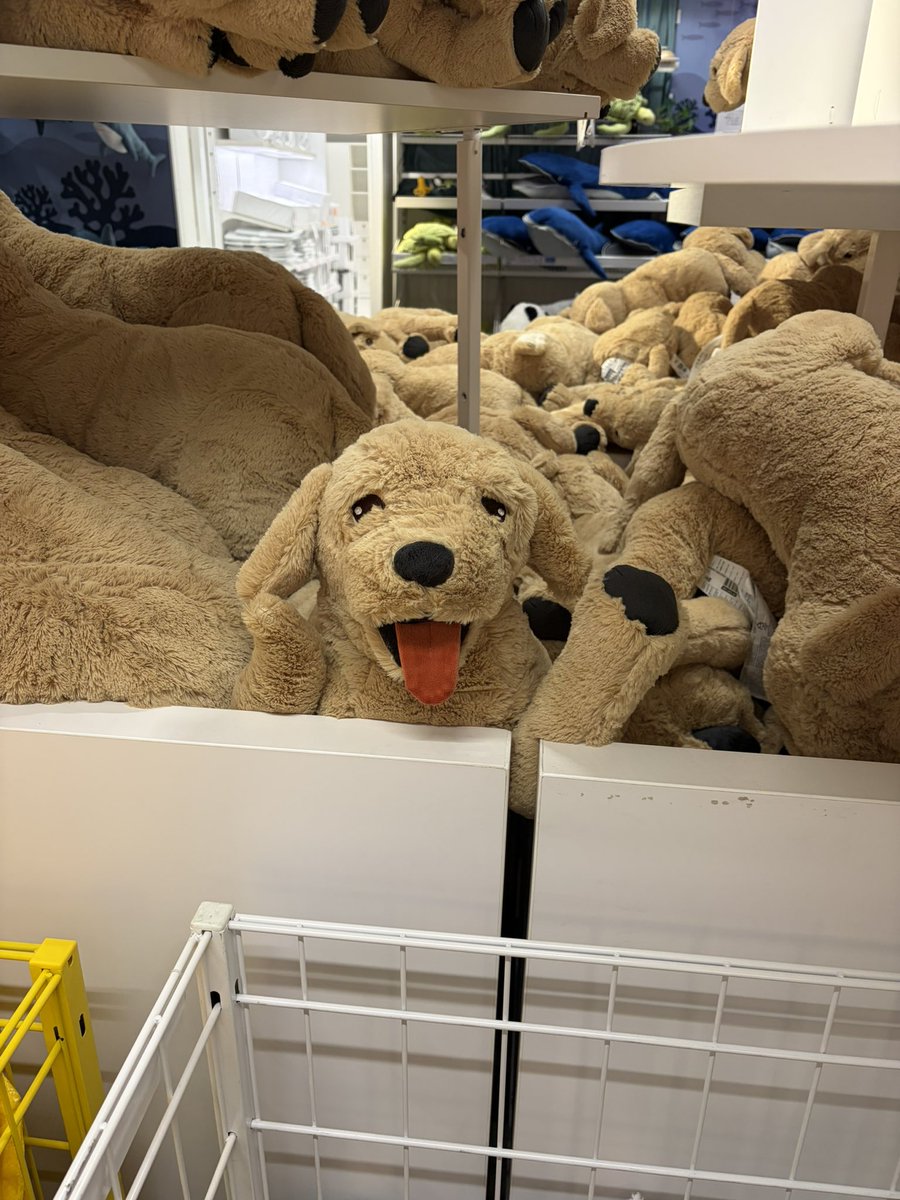 amarichann's tweet photo. IKEAのｲｯﾇかわちい🐶 https://t.co/JDPmCSzMbX