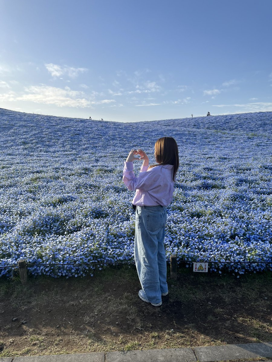 みちゃん tweet media