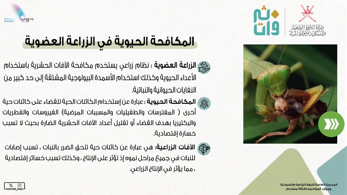 الثروة الزراعية والسمكية وموارد المياه بمسندم tweet media