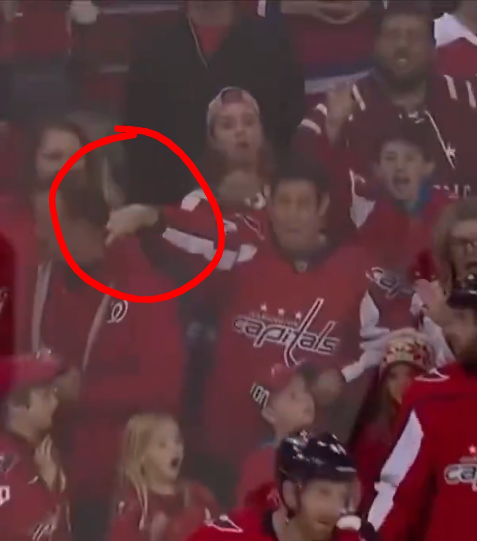 DavidHasbun tweet media