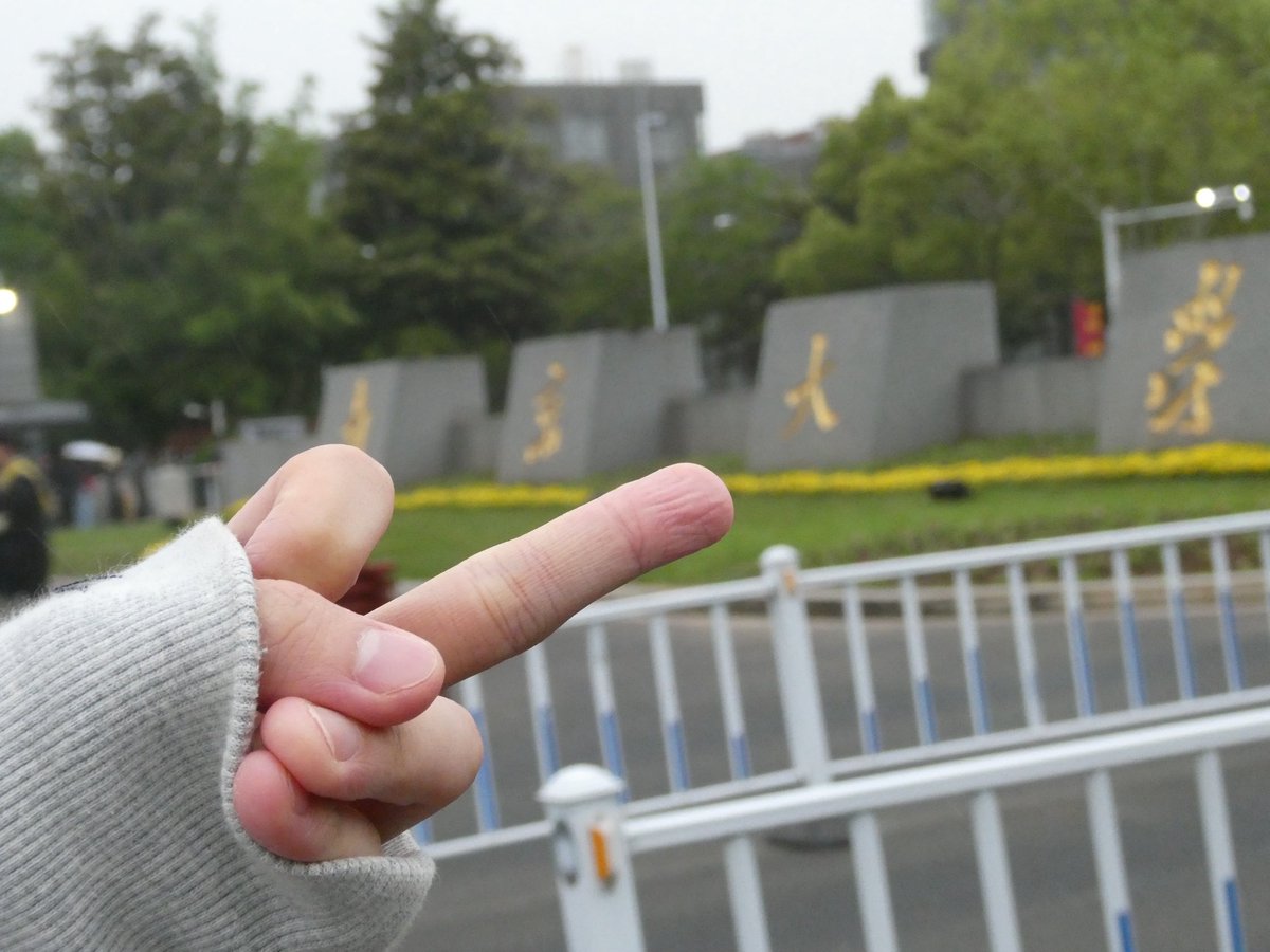 夏雨云梦暮 tweet media