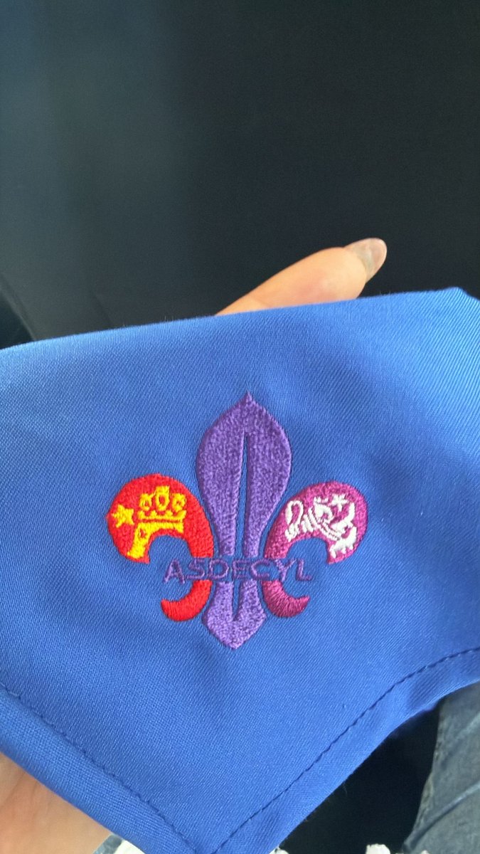 CJCyL's tweet photo. 👀Asistimos a la Apertura Institucional del 🏕️#SanJorge Scout 2026.

Un encuentro que reunió a más de 🤸🏻‍♀️800 niños, niñas y jóvenes de @asde_cyl para disfrutar de un fin de semana único✨ en Cantalejo (Segovia). https://t.co/H26GVk3pn1