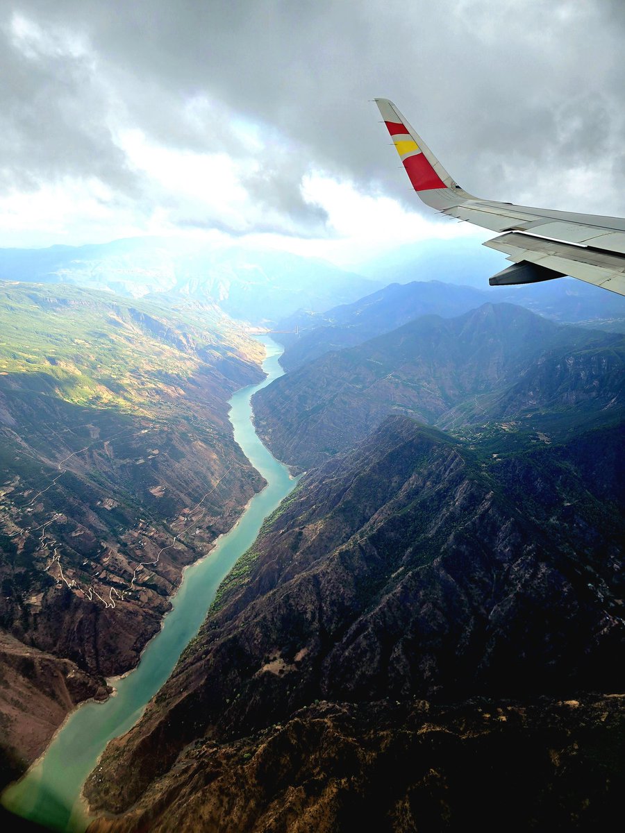 Nguyễn Quỳnh Phương | Sofia tweet media